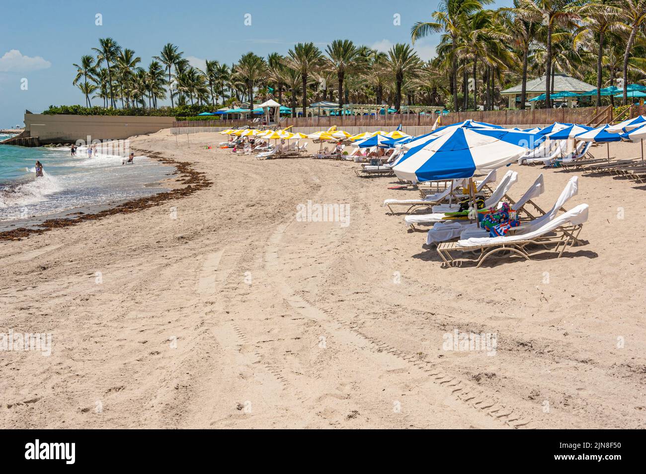 Plage privée au Breakers Resort à Palm Beach, Floride. (ÉTATS-UNIS) Banque D'Images