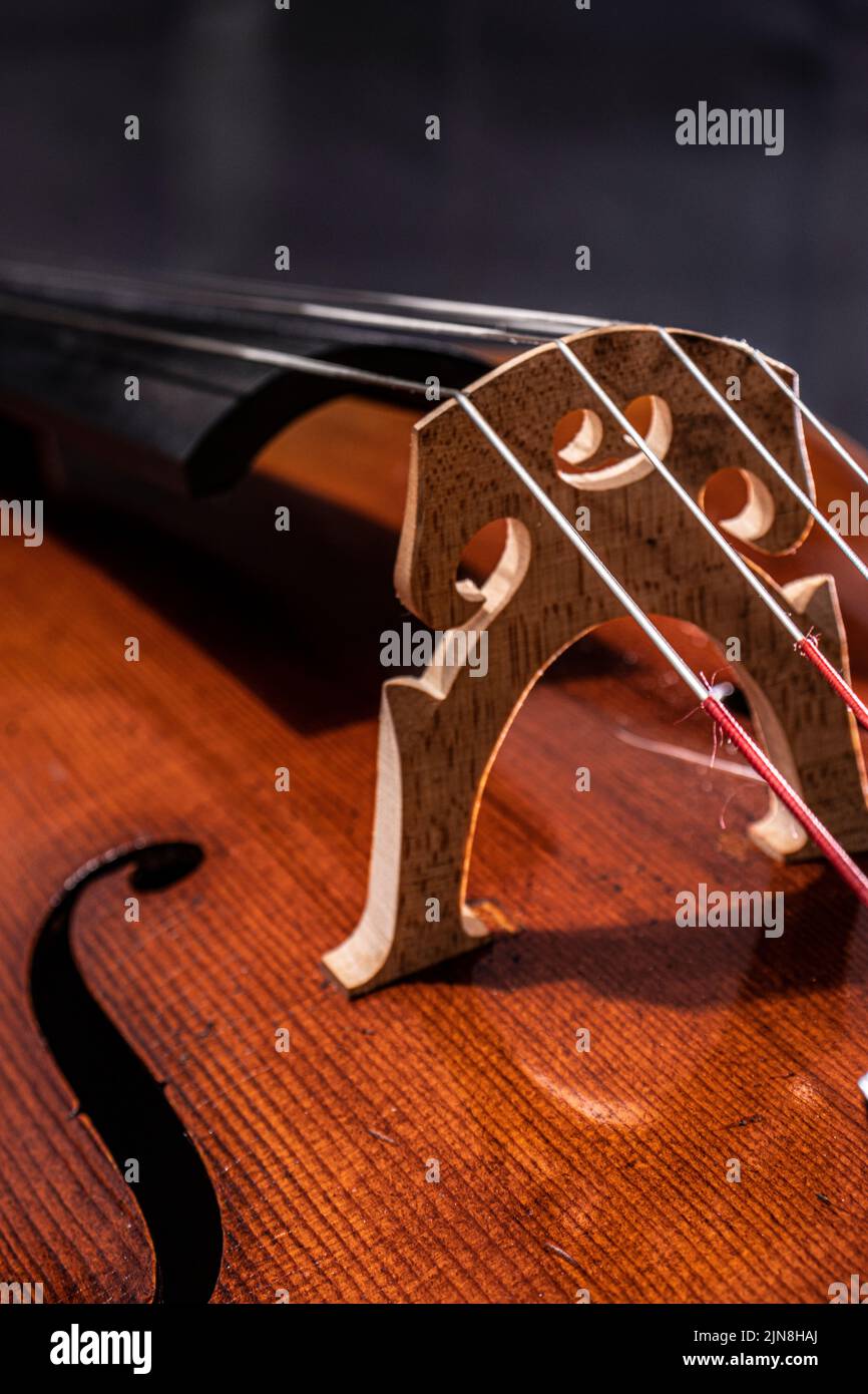 violoncelle professionnelle réalisée par un luthier Banque D'Images