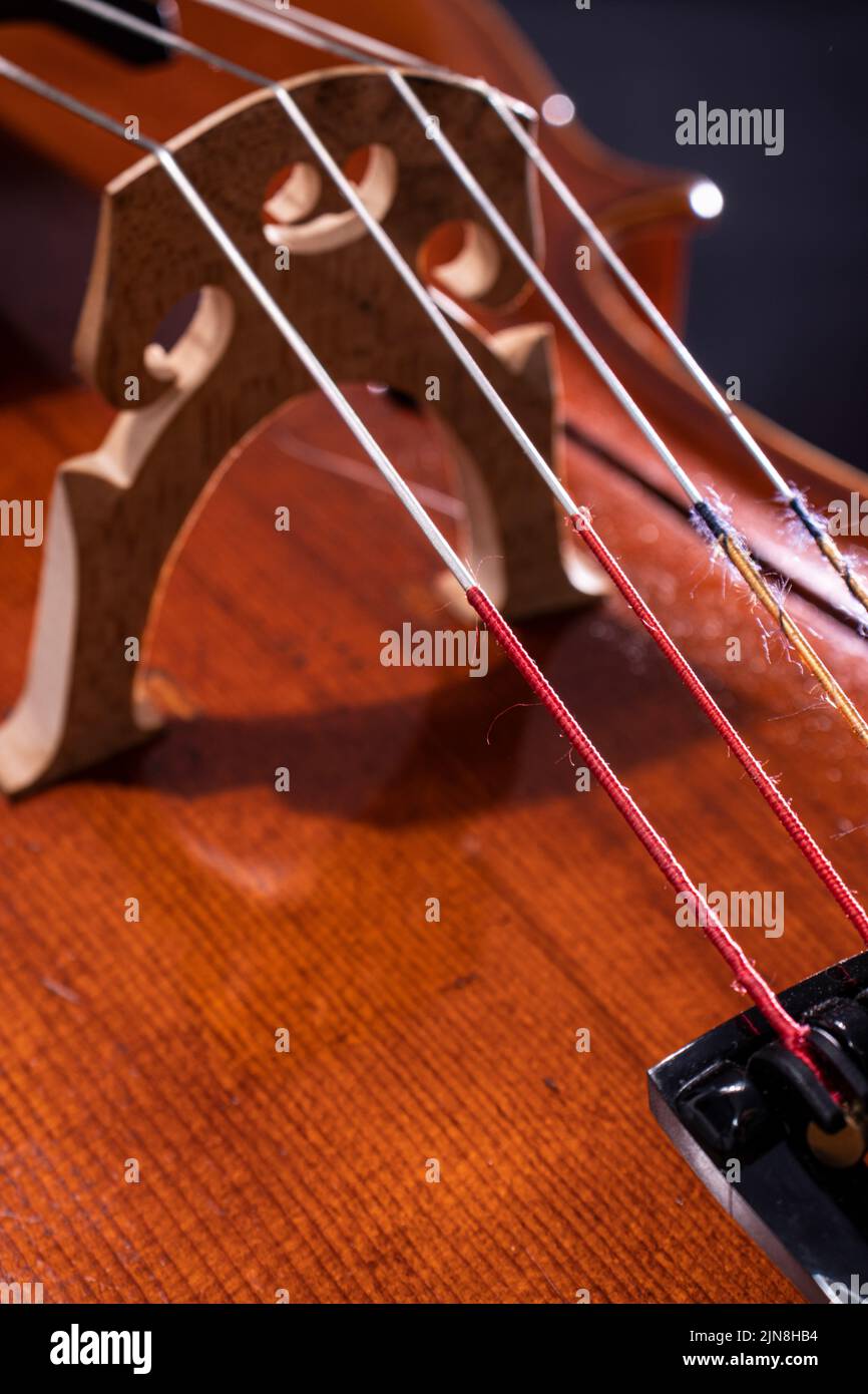 violoncelle professionnelle réalisée par un luthier Banque D'Images