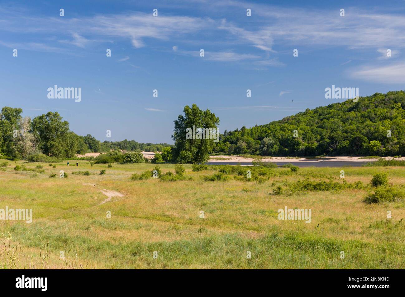 Une vue sur la zone naturelle sensible de ​​Bec d’Allier, Cuffy, France sur 9 août 2022. Avec une vague de chaleur précoce en juin et un mois exceptionnellement chaud et sec de mai, le lit de la Loire a atteint un niveau plus bas que d'habitude, à tel point que la rivière peut être traversée à pied dans certains endroits. Les deux tiers du pays sont en situation de crise en raison de la sécheresse. Quatre récentes vagues de chaleur ont déclenché des semaines de feux de forêt et ont réduit la puissante Loire à un ruisseau dans certains étirements. La semaine dernière, le gouvernement a déclaré que 100 endroits étaient dépourvus d'eau du robinet. Photo de Pascal Avenet/ABACAPRESS.COM Banque D'Images