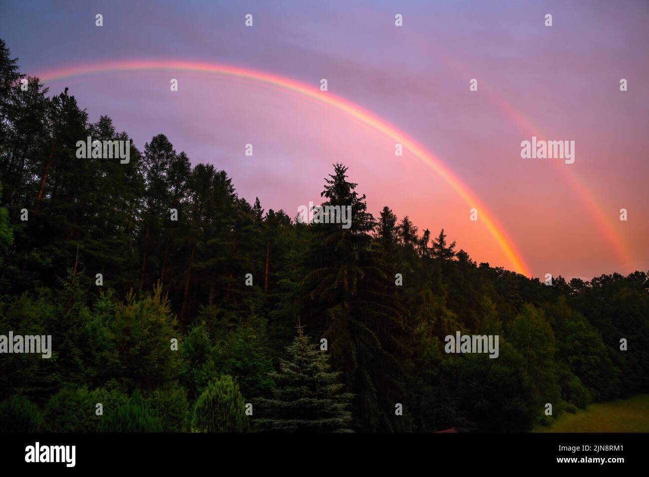 Double arc-en-ciel sur forêt sombre, soirée d'été après la pluie. Banque D'Images