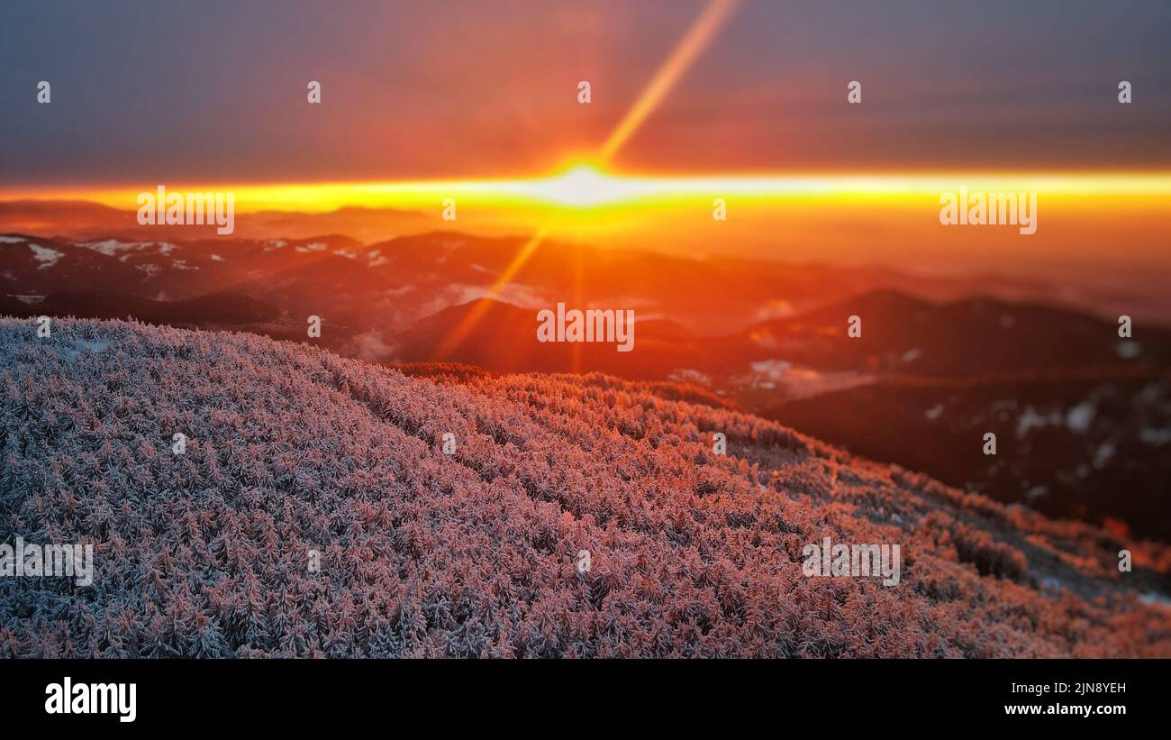 Coucher de soleil sur des arbres enneigés en hiver Banque D'Images