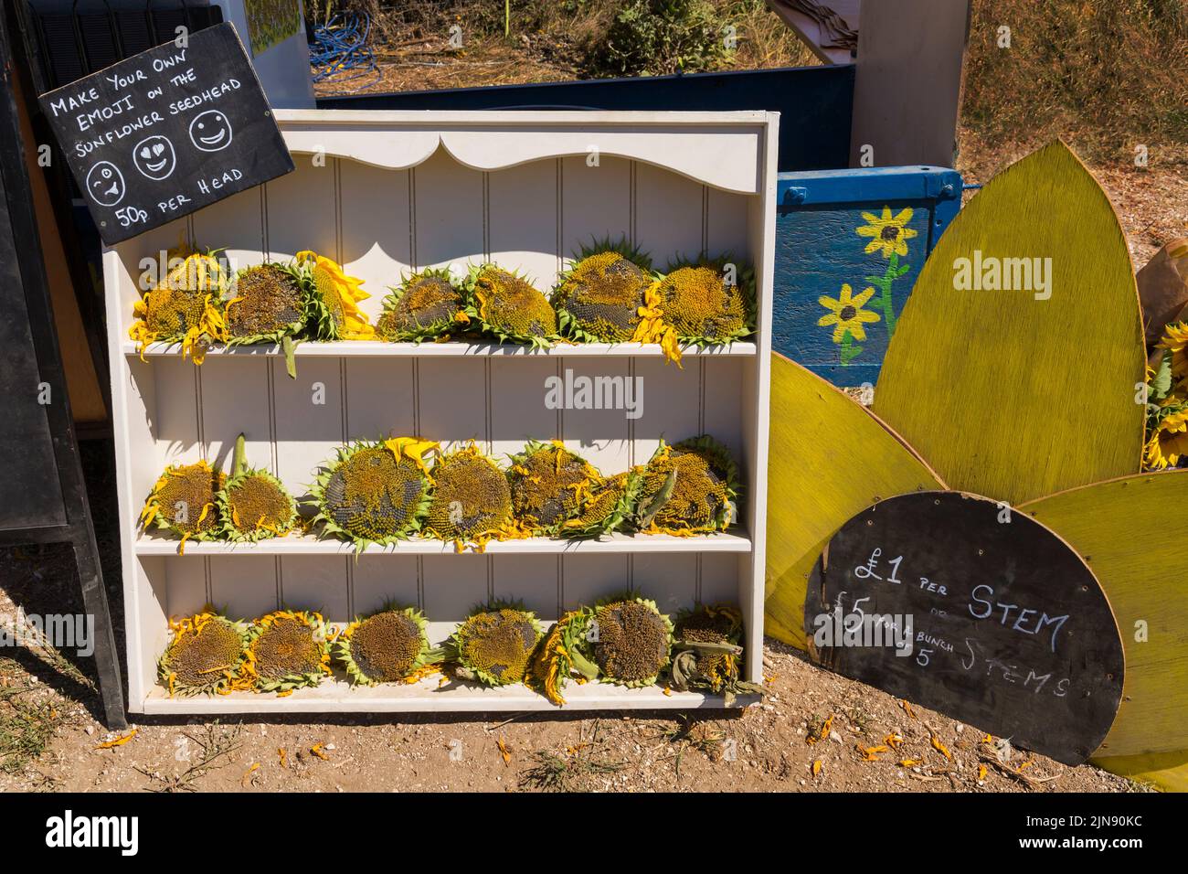 Faites votre propre émotiji sur la tête de tournesol 50p par tête signe à Maiden Castle Farm, Dorchester, Dorset Royaume-Uni en août Banque D'Images