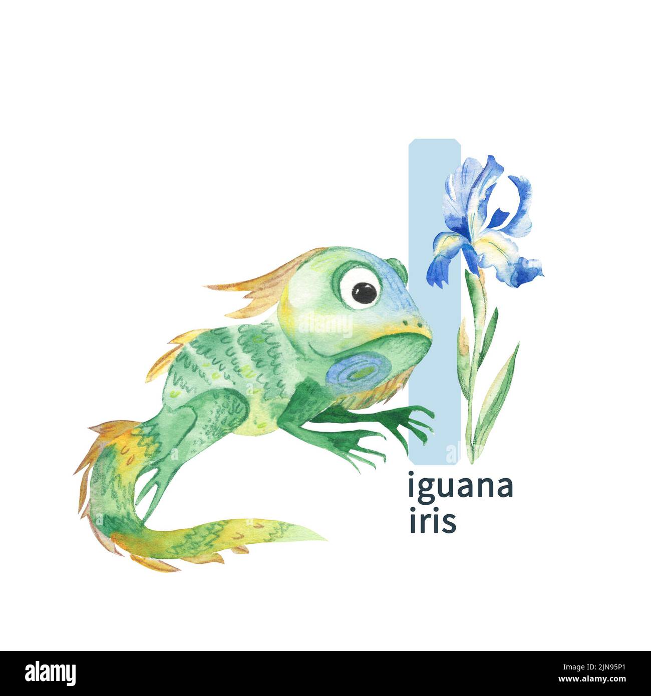 Lettre I, iguana et iris, les animaux colorés et les fleurs de l'alphabet. Illustration aquarelle isolée sur fond blanc. Banque D'Images