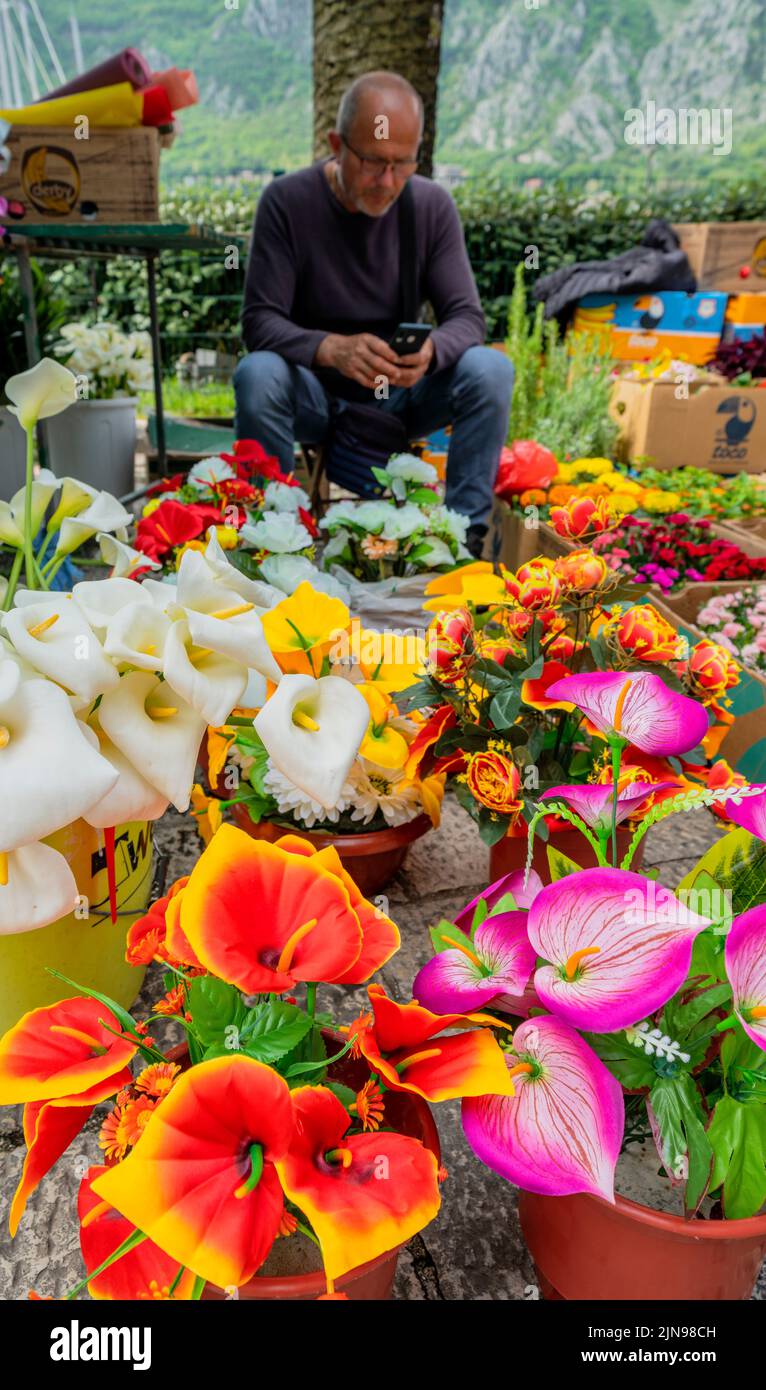 Monténégro - 7 mai 2022 - l'homme vend des fleurs dans un stand du marché. Banque D'Images