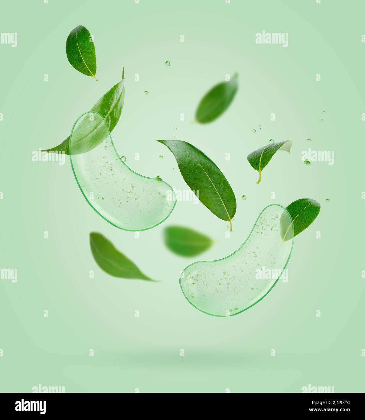 Taches oculaires volantes avec composition de feuilles de thé sur fond vert Banque D'Images