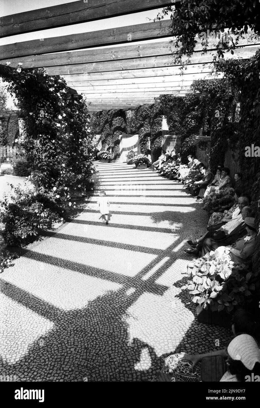 Original-Bildunterschrift: Der Rosengarten im Berlin Tiergarten erfreute sich an diesem schönen Sonntag regen Besuchs, Berlin, Deutschland 1955. Banque D'Images