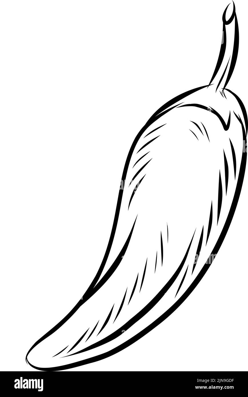 Piment poivre tiré à la main isolé sur blanc Illustration de Vecteur