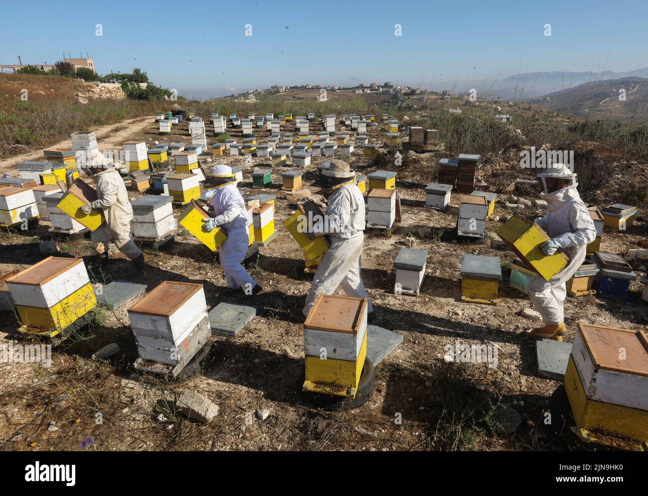 Les apiculteurs marchent alors qu'ils tiennent des ruches dans un rucher du village de Houla, près de la frontière avec Israël, au sud du Liban 25 juillet 2022. REUTERS/Aziz Taher Banque D'Images