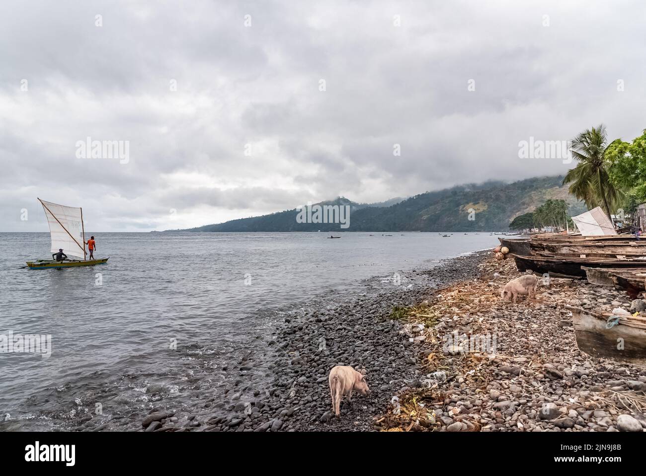 Sao Tomé, dugouts sur la plage dans le village de pêcheurs Banque D'Images