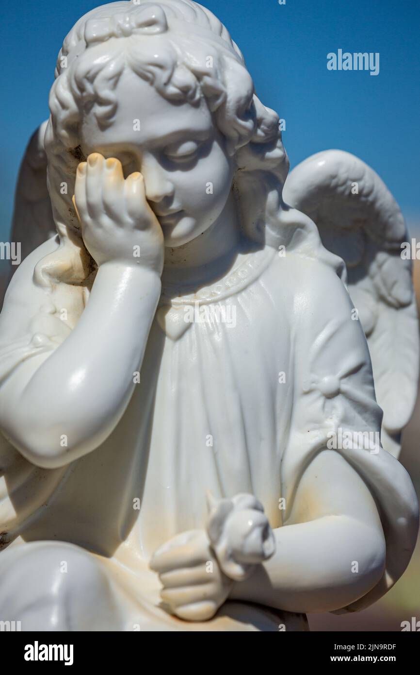 Seraphim ange triste avec fleur pour le pardon et l'espoir de meilleurs jours Banque D'Images