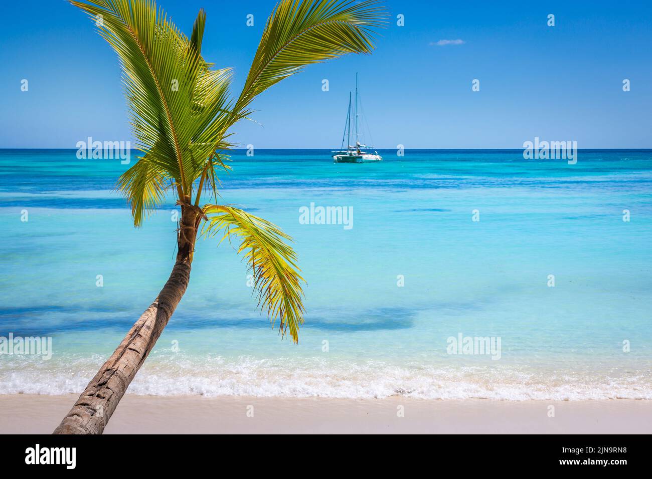 Paradis tropical: plage des caraïbes avec un seul palmier et un bateau, Punta Cana Banque D'Images