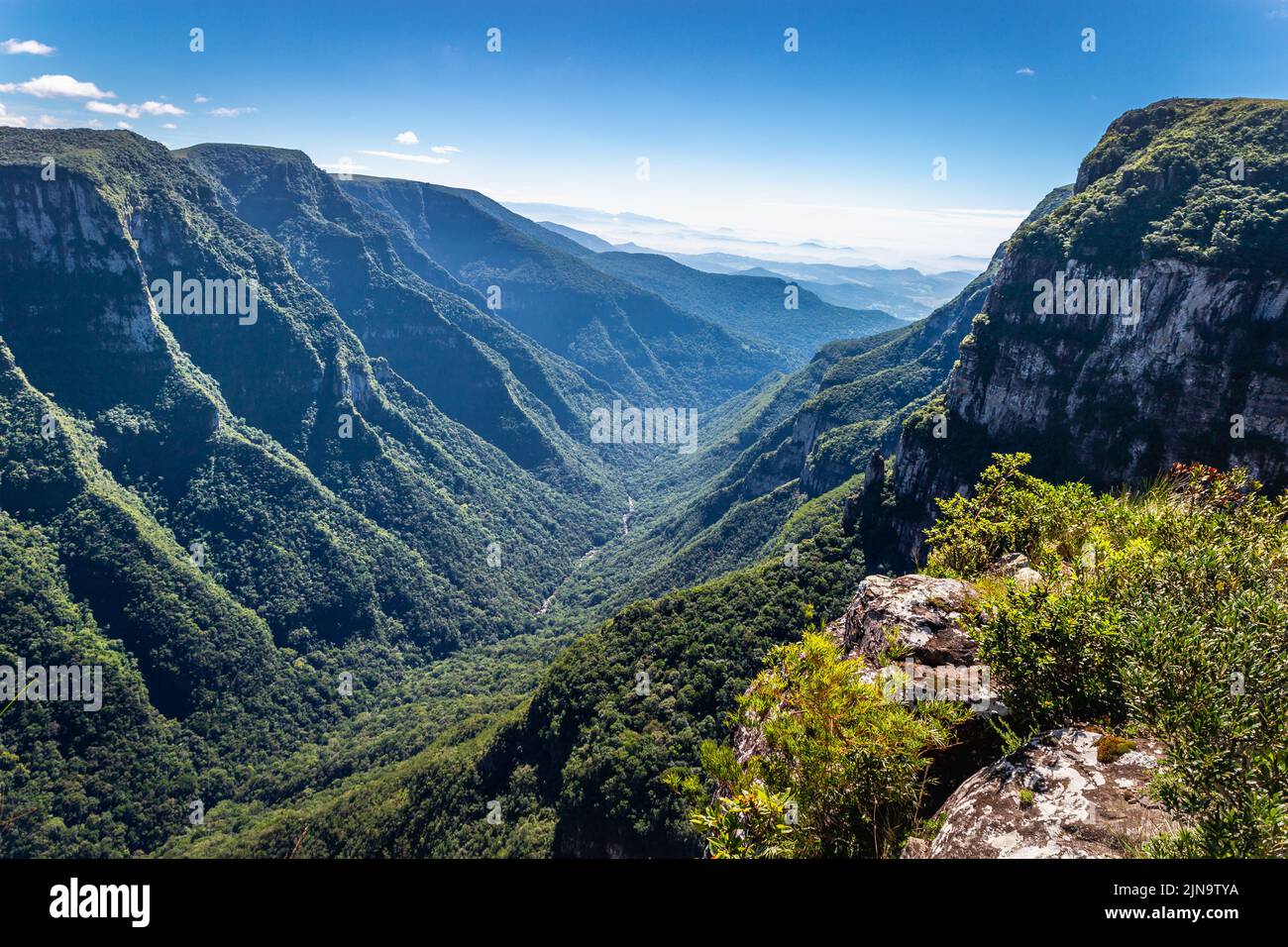 Canyon dans un paysage idyllique de forêt tropicale - État de Rio Grande do Sul, Brésil Banque D'Images