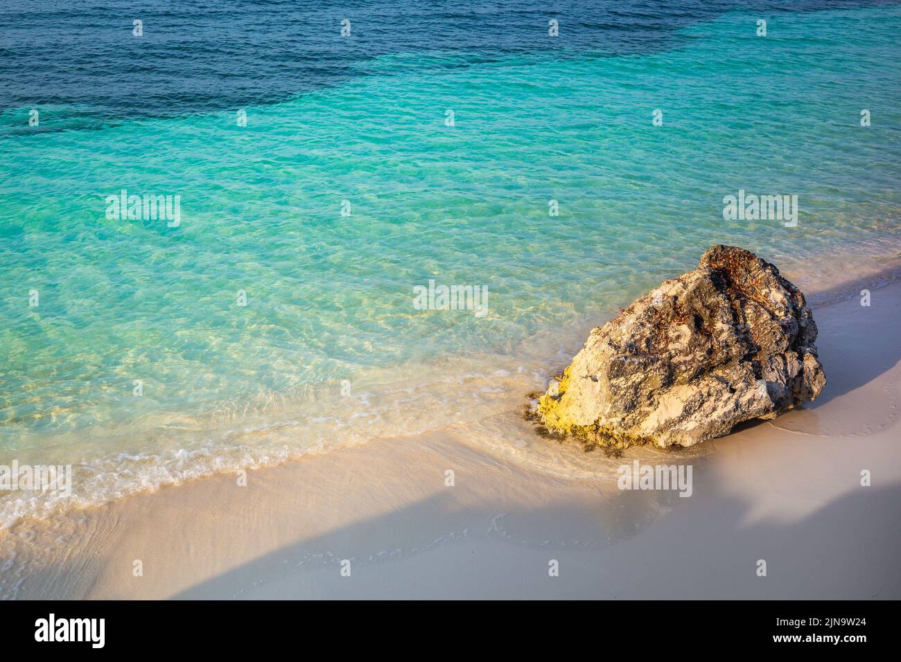 Idyllique et translucide plage des caraïbes à la journée ensoleillée à Aruba Banque D'Images