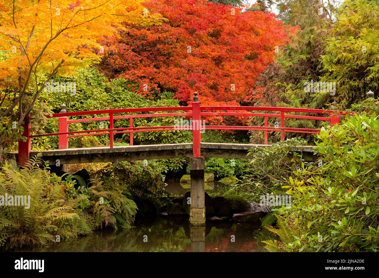 WA21860-00...WASHINGTON - vue de l'automne sur Heart Bridge dans Kubota Garden, une ville de Seattle Park. Banque D'Images