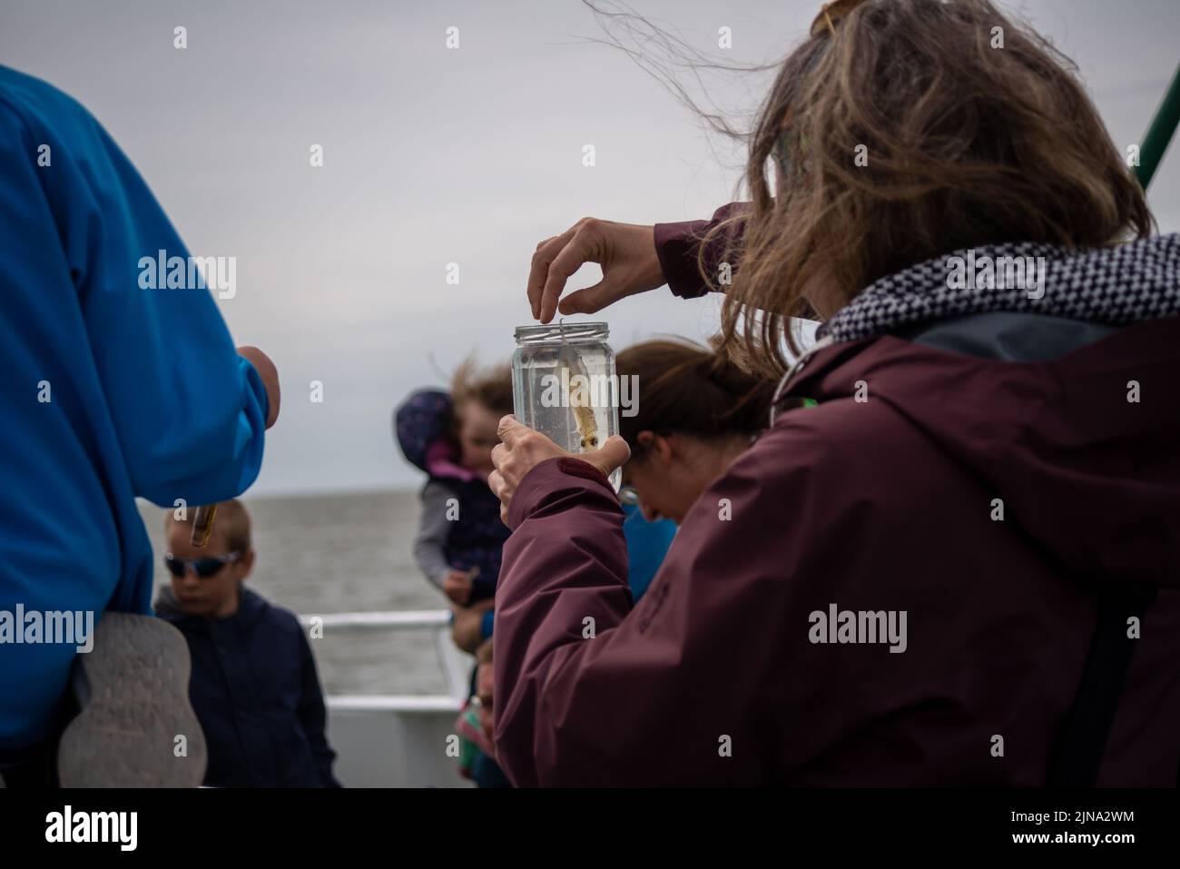 Nordstrand,Germany-2 août,2022:Une femme regarde un calmar dans un verre rempli d'eau salée. Banque D'Images