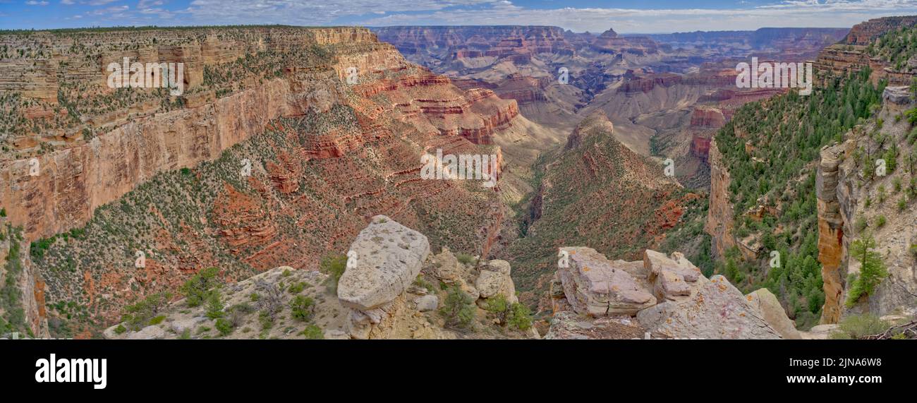 Vue sur le Grand Canyon depuis Twin point Overview, Upper Rim, parc national du Grand Canyon, Arizona, États-Unis Banque D'Images