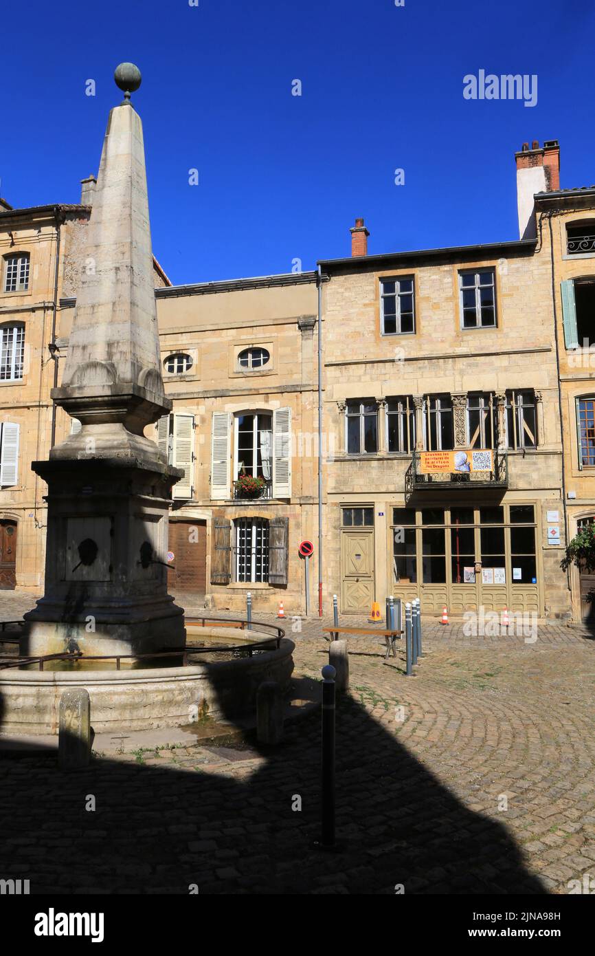 Fontaine. La Maison du Dragon ou Maison des Griffons, demeure romano-gothique. Place notre-Dame. Cluny. XIII ème siècle. Cluny. Saône-et-Loire. Banque D'Images