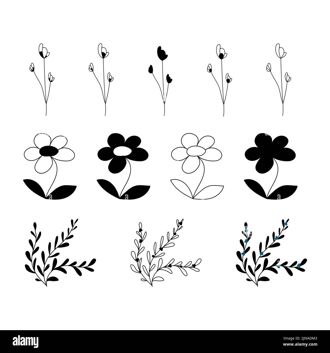 Ensemble de fleurs et éléments floraux, brindilles et feuilles. Silhouettes vectorielles de fleurs Illustration de Vecteur