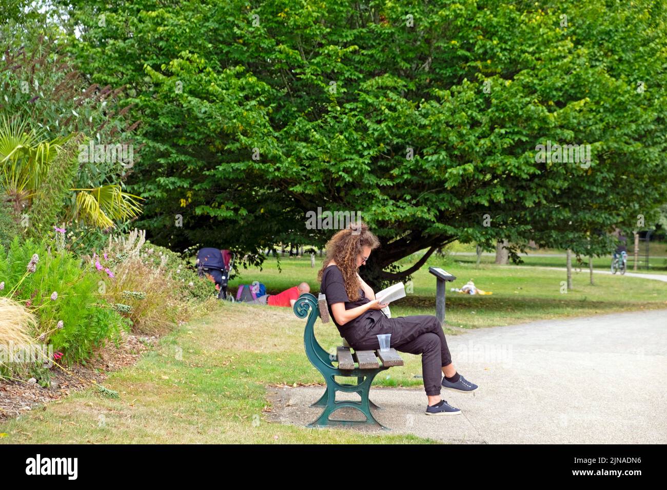 Jeune femme assise sur le banc du parc lisant un livre par des arbres en été août 2022 Bute Park Cardiff pays de Galles Royaume-Uni Grande-Bretagne KATHY DEWITT Banque D'Images
