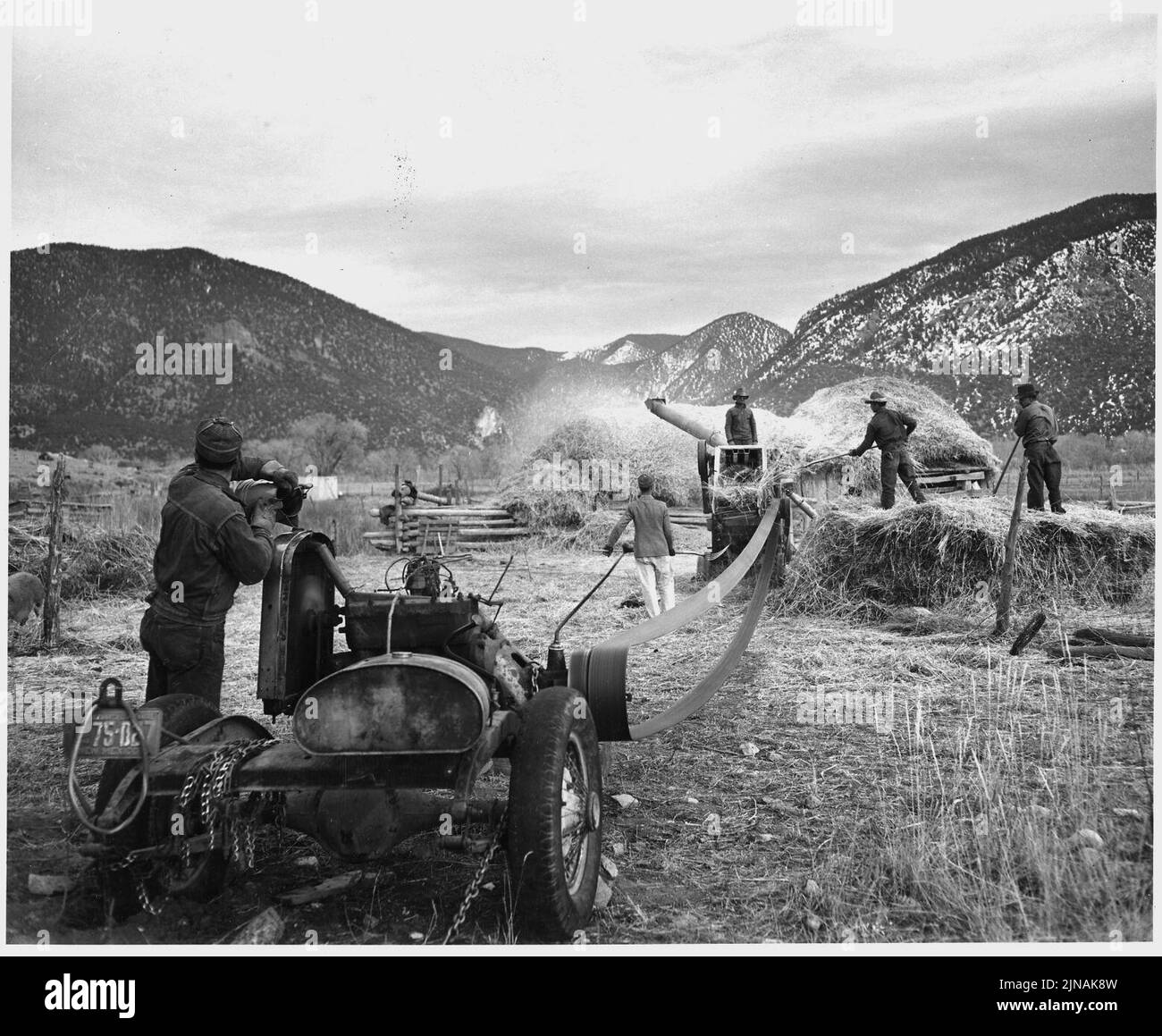 Taos County, Nouveau-Mexique. Battage du blé par machine, Questa. Propriétaire des seuils de la machine pour une perce . . Banque D'Images