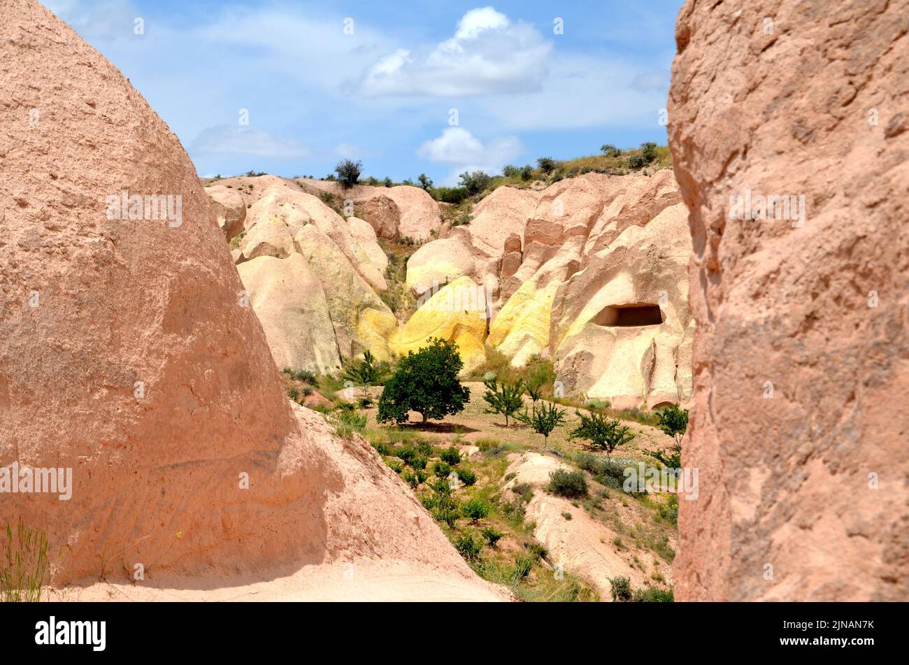 paysage avec arbres et formations rocheuses volcaniques dans la vallée de la 'red', cappadoce turquie Banque D'Images