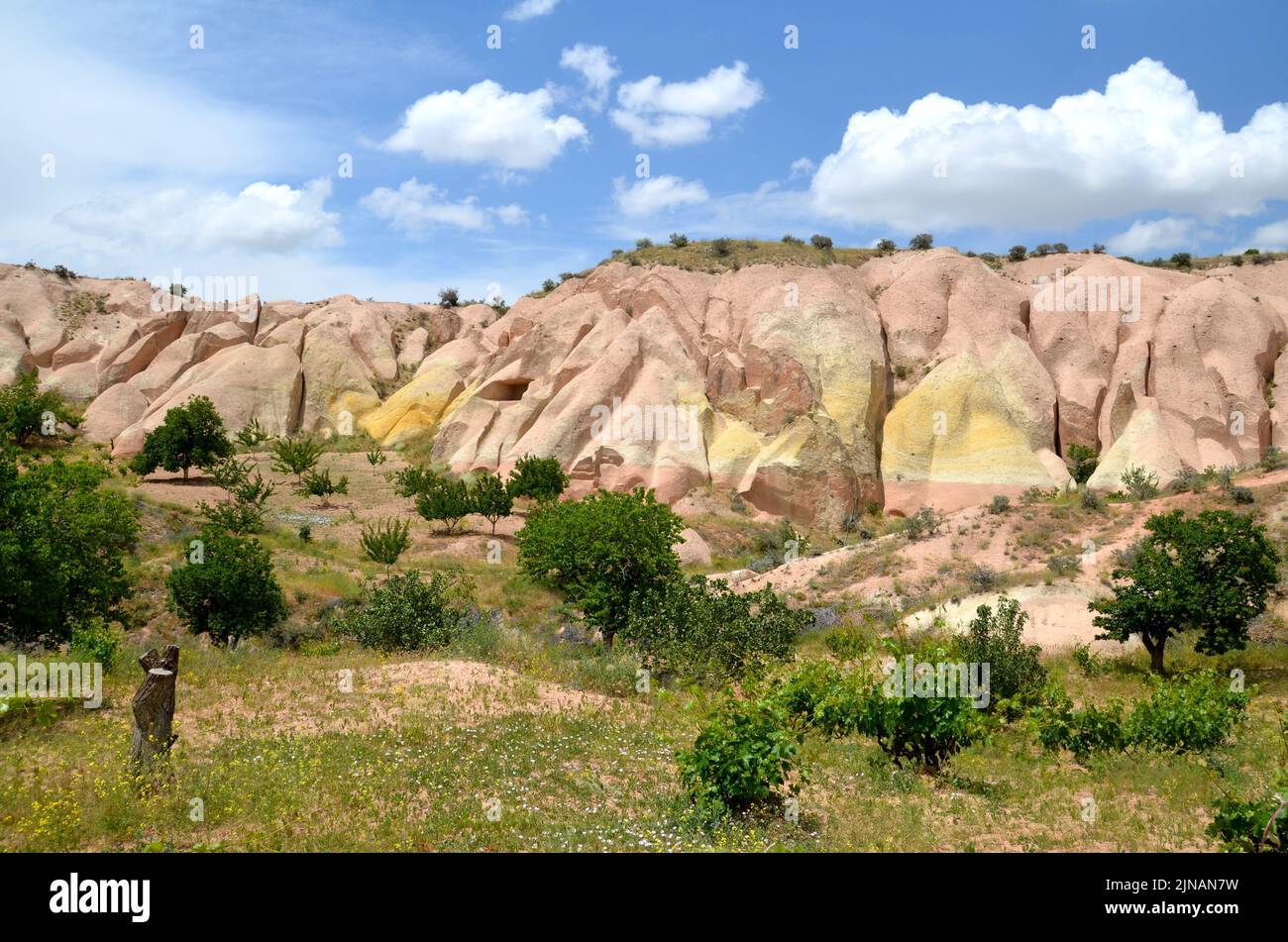 paysage avec arbres et formations rocheuses volcaniques dans la vallée de la 'red', cappadoce turquie Banque D'Images