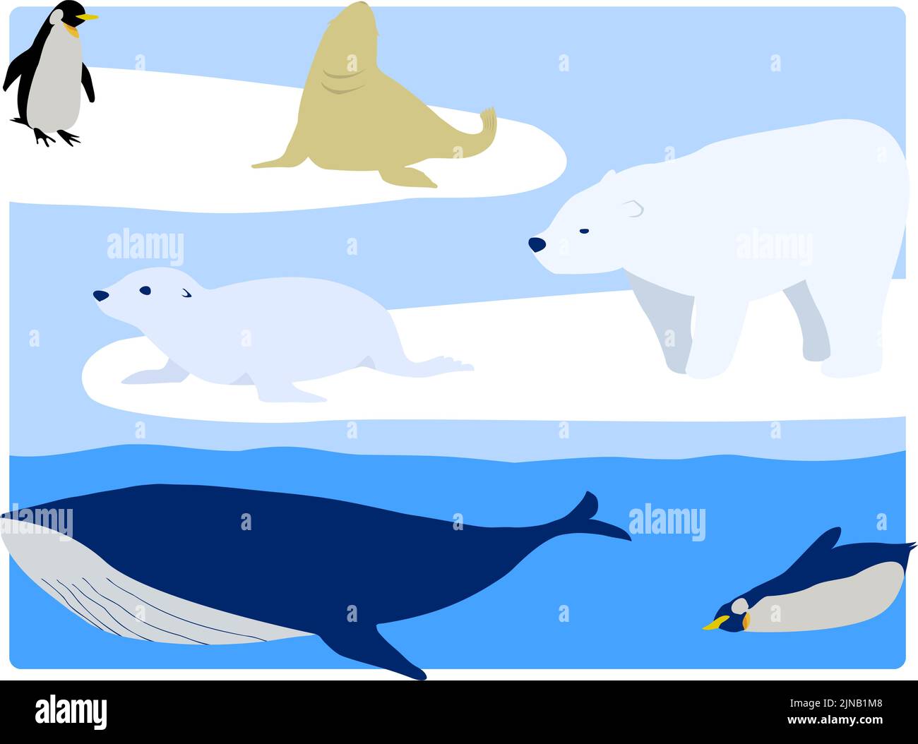 Glace de dérive, ours polaires, pingouins, lions de mer, phoques à fourrure, et baleines Illustration de Vecteur