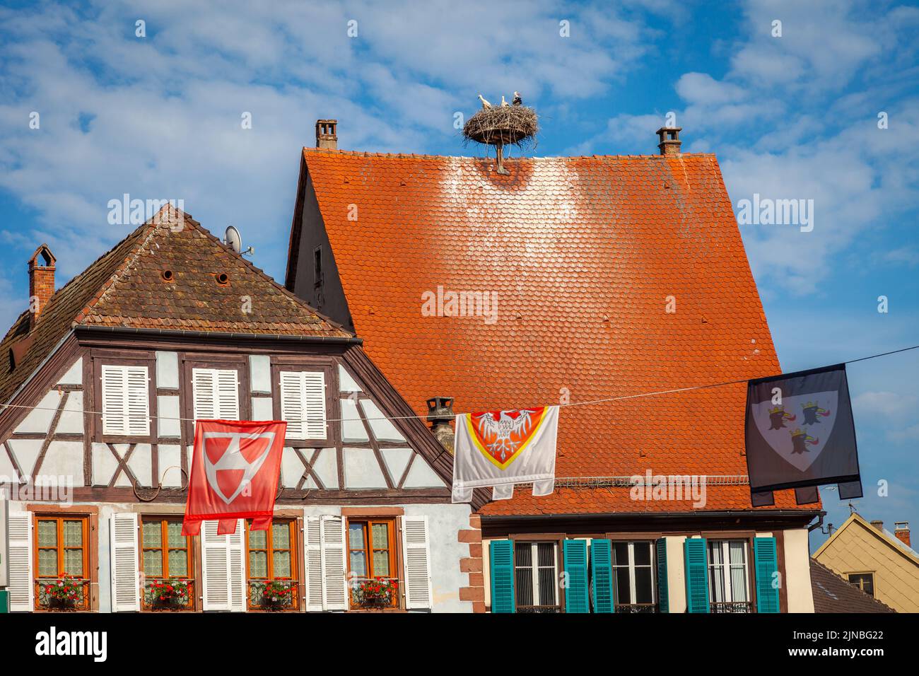 Stork nichent dans l'architecture alsacienne de Colmar au printemps, dans l'est de la France Banque D'Images