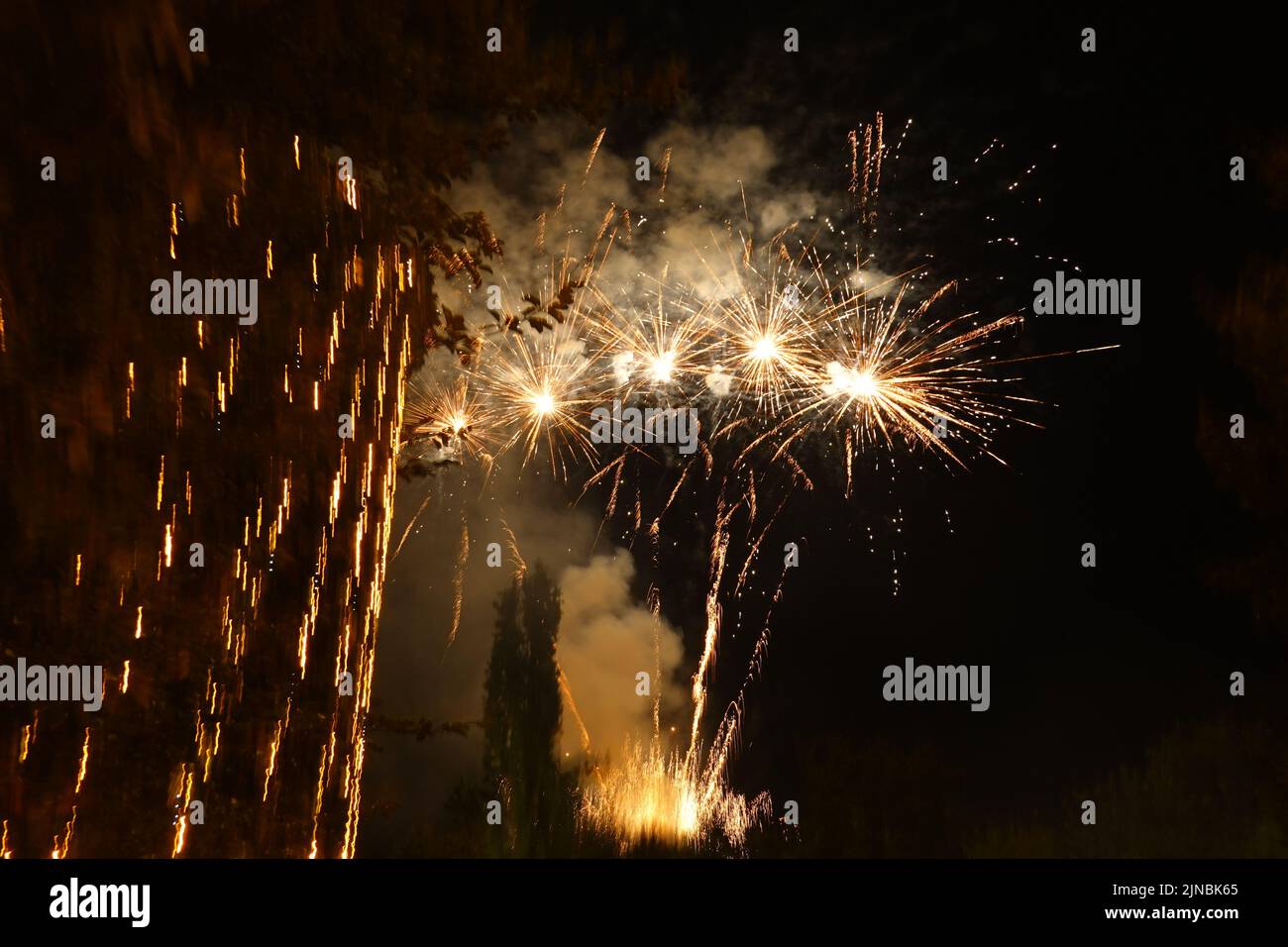 Fleurs et feux d'artifice Banque D'Images