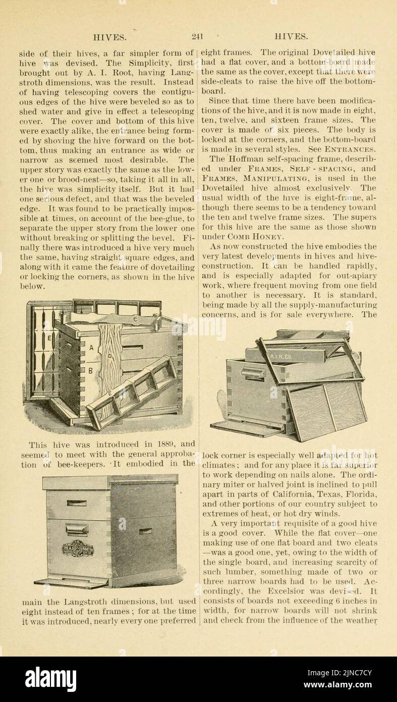 L'ABC et XYZ de la culture de l'abeille (page 241) Banque D'Images