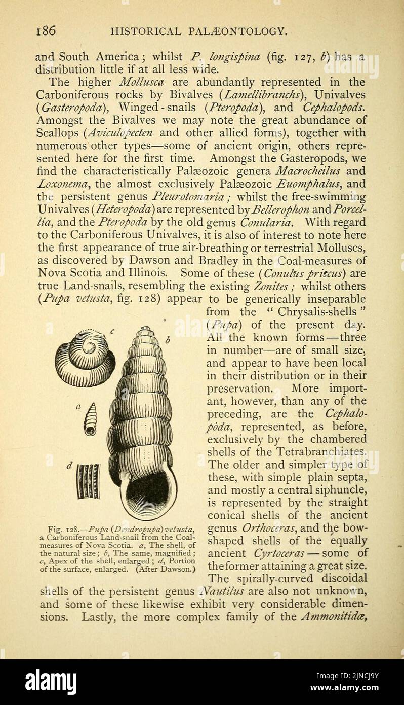 L'ancienne vie-histoire de la terre (page 186) Banque D'Images
