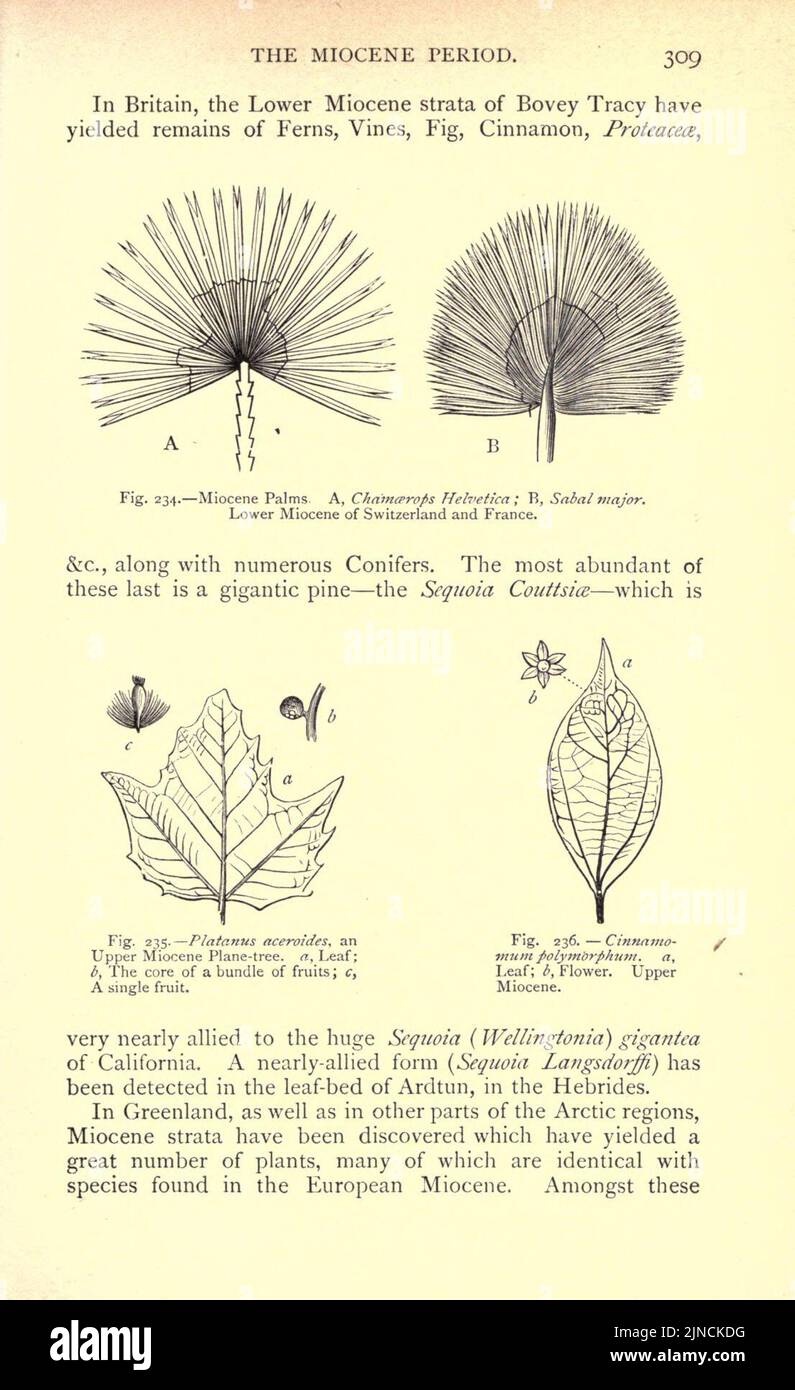 L'ancienne vie-histoire de la terre (page 309) Banque D'Images