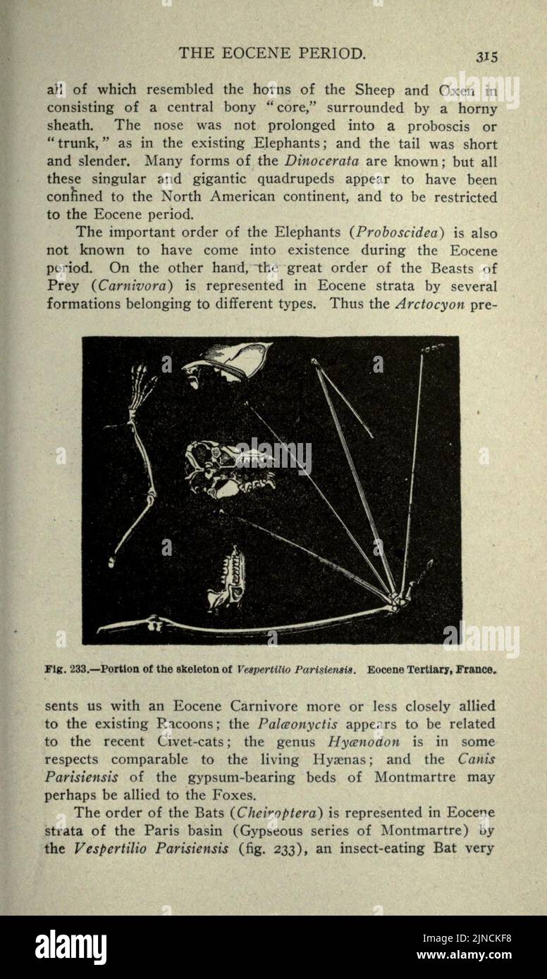 L'ancienne vie-histoire de la terre (page 315) Banque D'Images