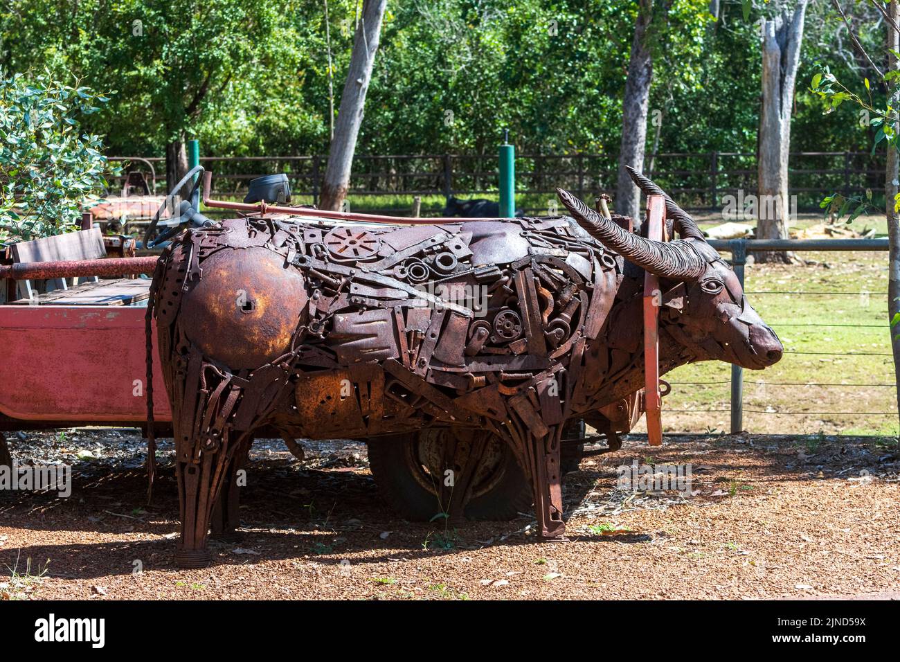 Sculpture métallique d'un Buffalo aquatique (Bubalus bubalis) au parc animalier de Darwin, territoire du Nord, territoire du Nord, Australie Banque D'Images