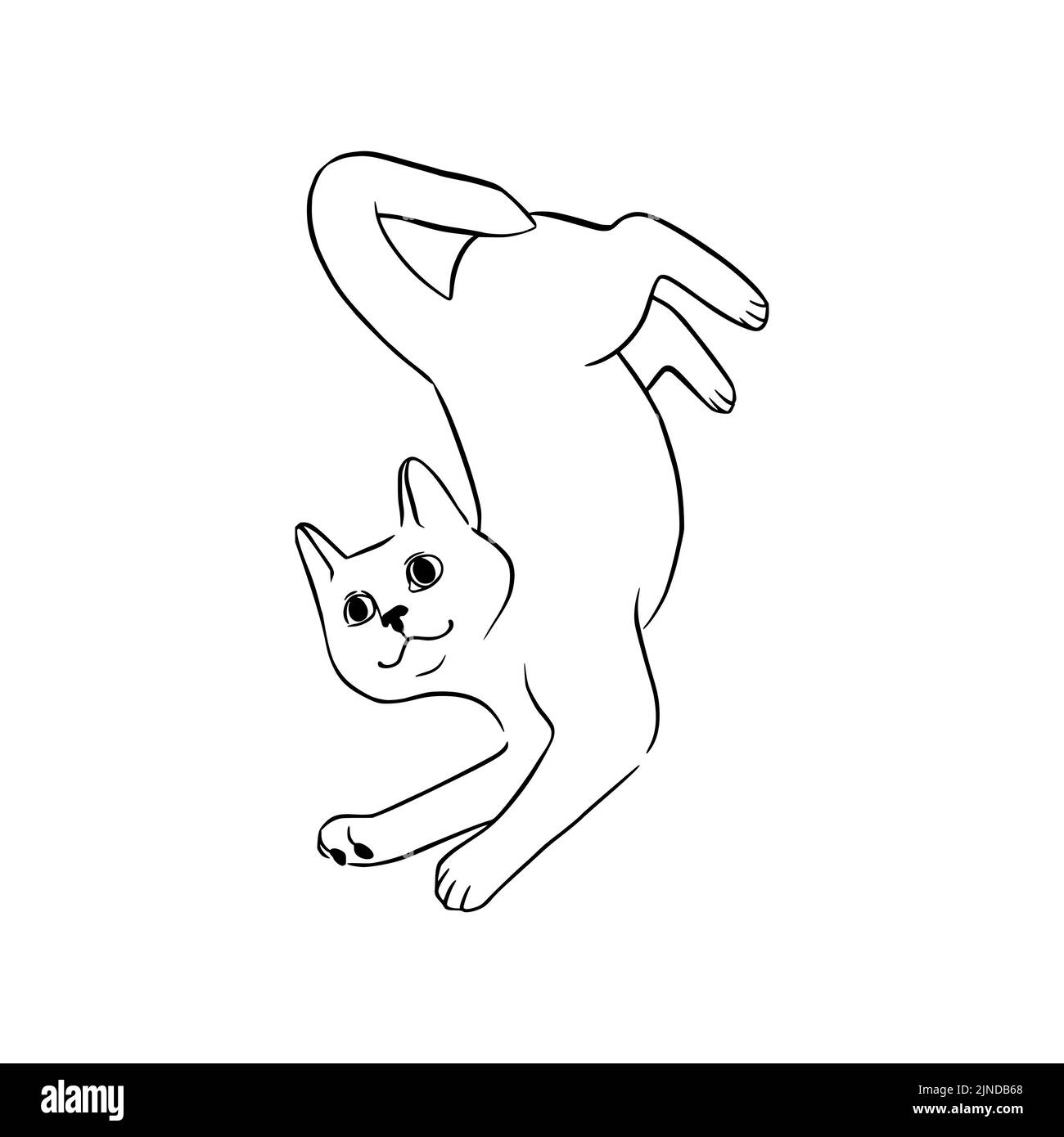 Esquisse noire de chat couché. Chat joueur dans un style doodle. Illustration vectorielle mignonne isolée sur fond blanc Illustration de Vecteur