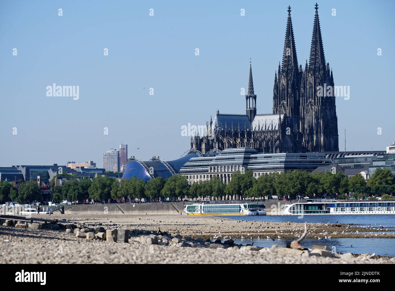 Cologne, Allemagne 09 août 2022: Niveau d'eau bas sur le rhin à cologne Banque D'Images