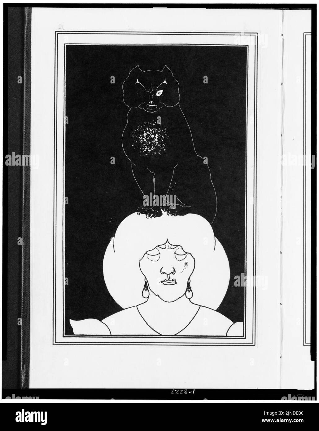 Le chat noir Banque D'Images
