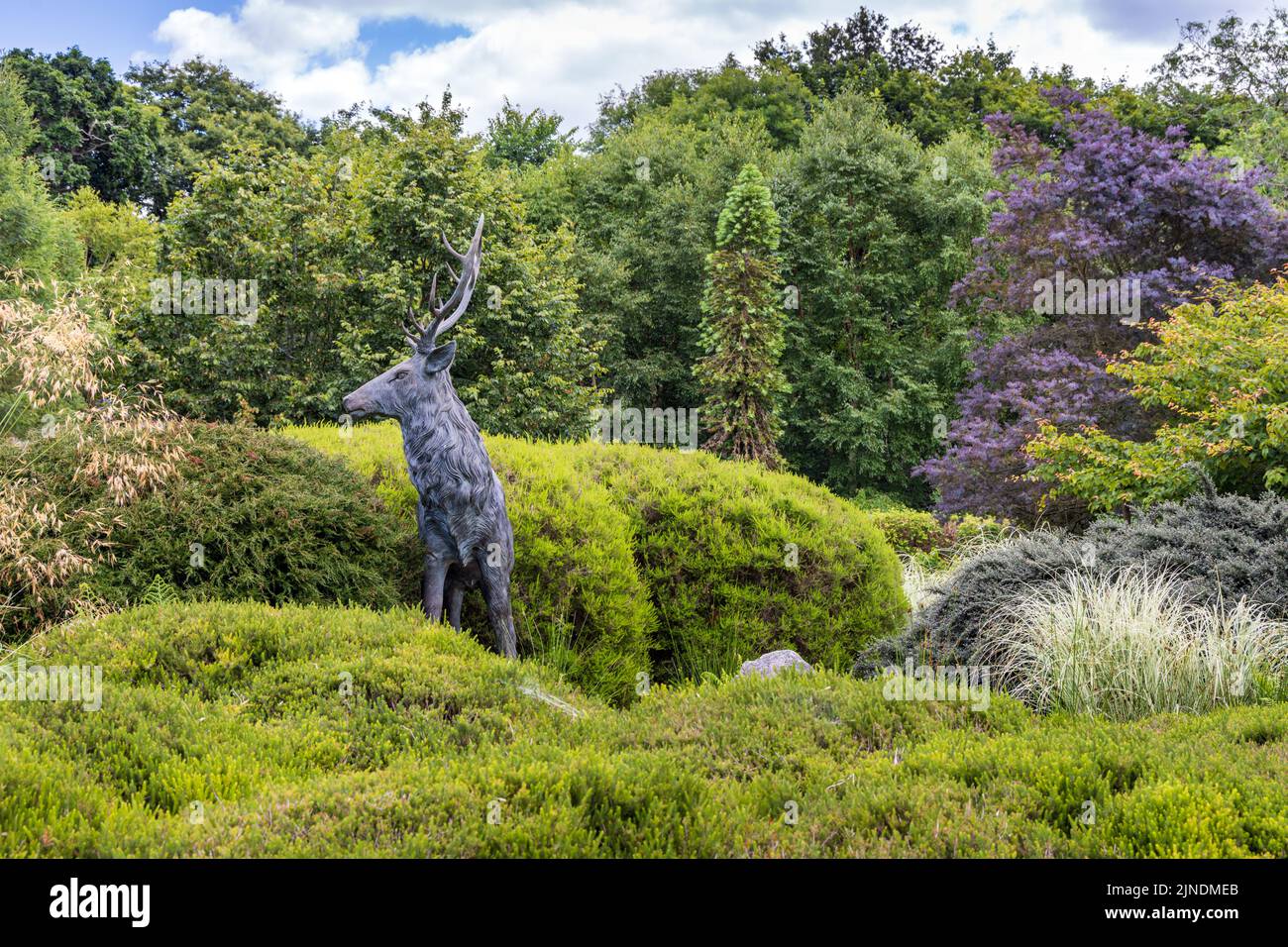 Sculpture de cerfs dans le jardin d'hiver de Pinetum Gardens, St Austell, Cornouailles, Angleterre Banque D'Images