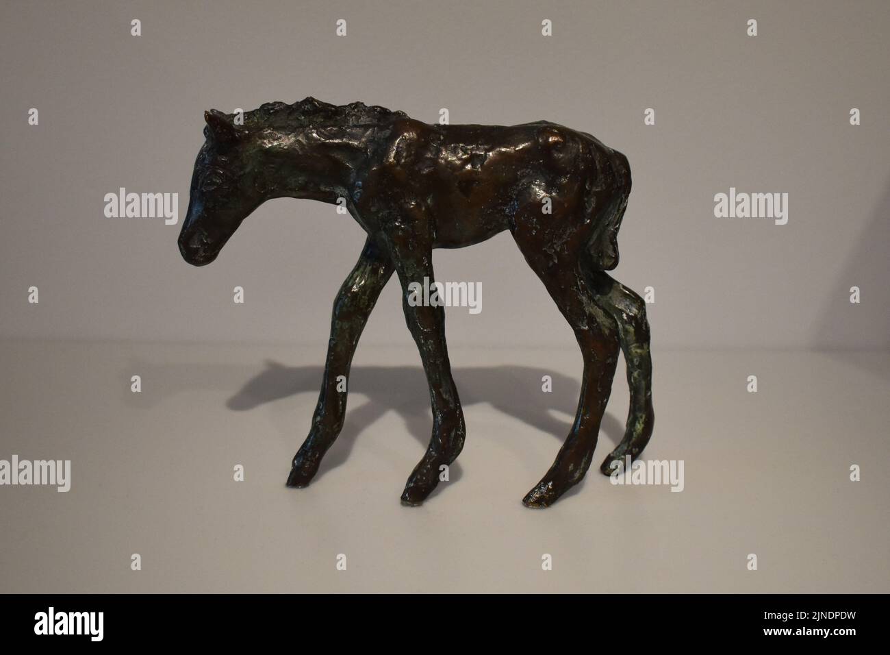 Par Hurum. Foal debout. Musée national de Norvège. 1937. Banque D'Images