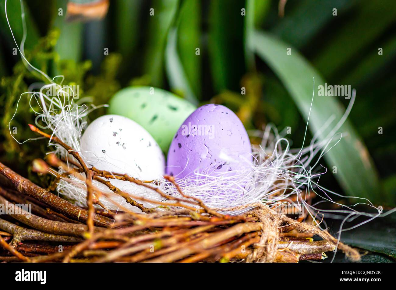 Nid d'oiseau avec des oeufs de Pâques colorés sur des branches d'arbres verts, décoration de pâques, foyer sélectif Banque D'Images
