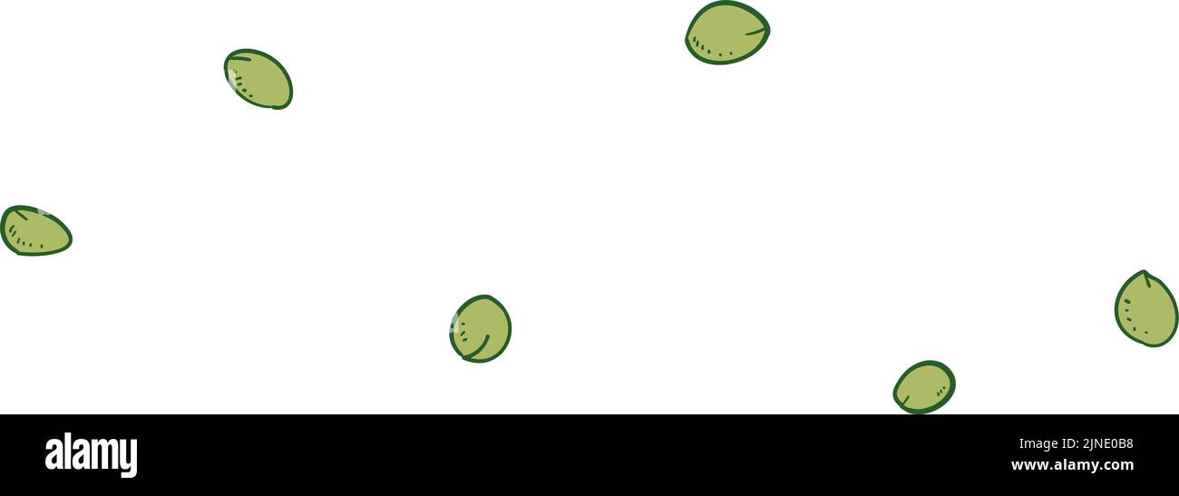 Illustration botanique : petit écrou d'arbre Illustration de Vecteur