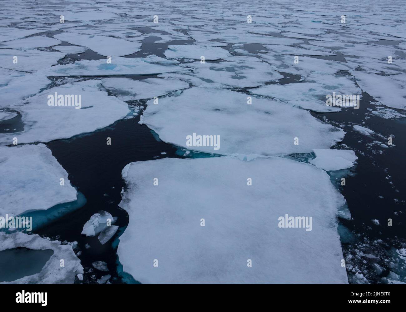 Pack de glace flottant dans l'océan arctique. La glace glaciaire bleue recouverte de neige est une nature sauvage préservée. Svalbard, Norvège Banque D'Images