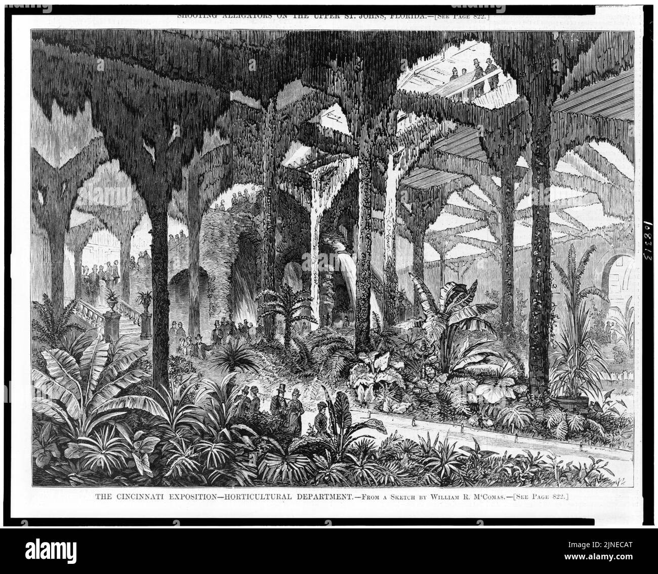The Cincinnati exposition - département horticole - d'un croquis de William R. m'Comas. Banque D'Images