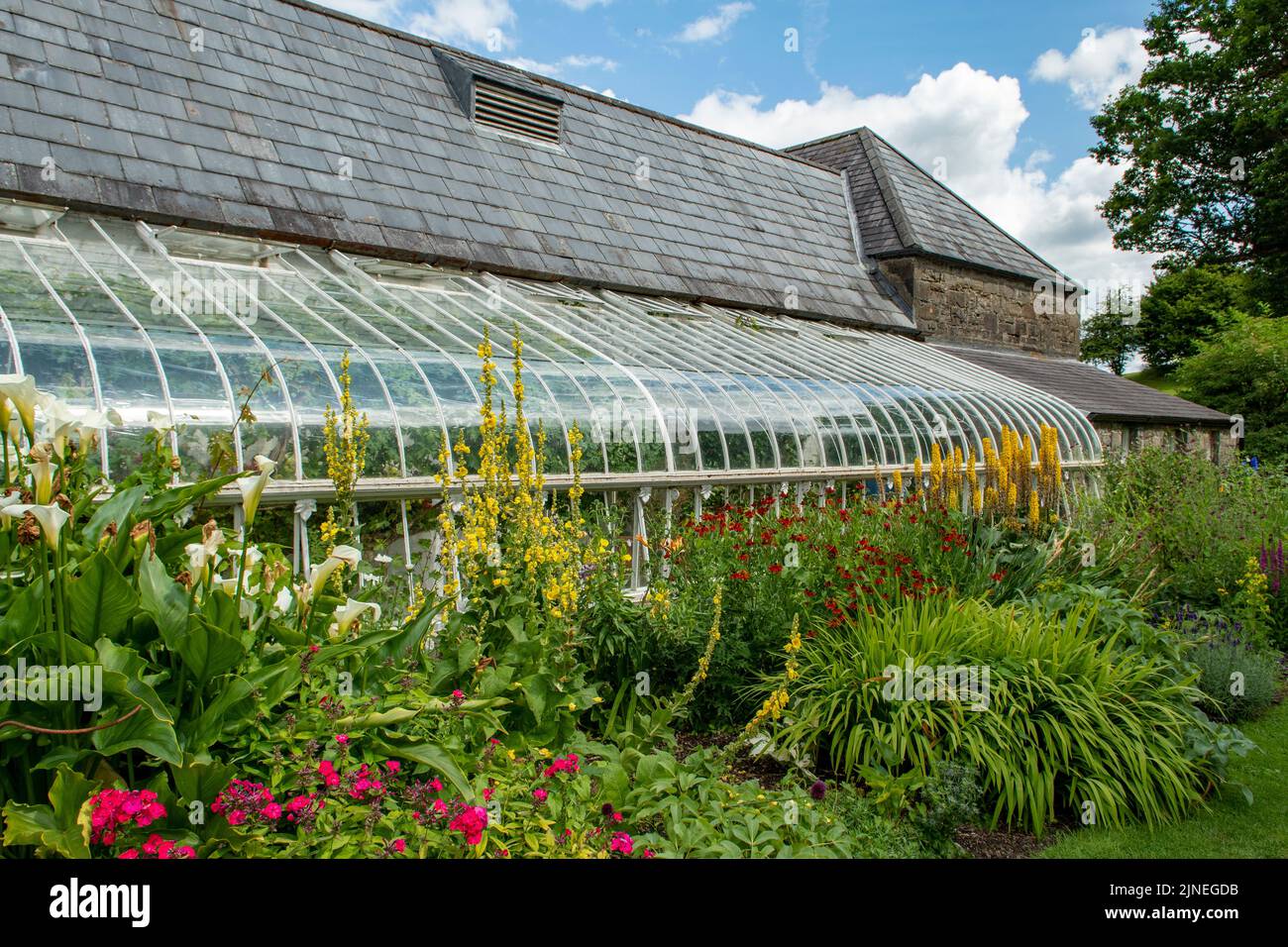 Jardin à Turlough Park House, Castlebar, Co. Mayo, Irlande Banque D'Images