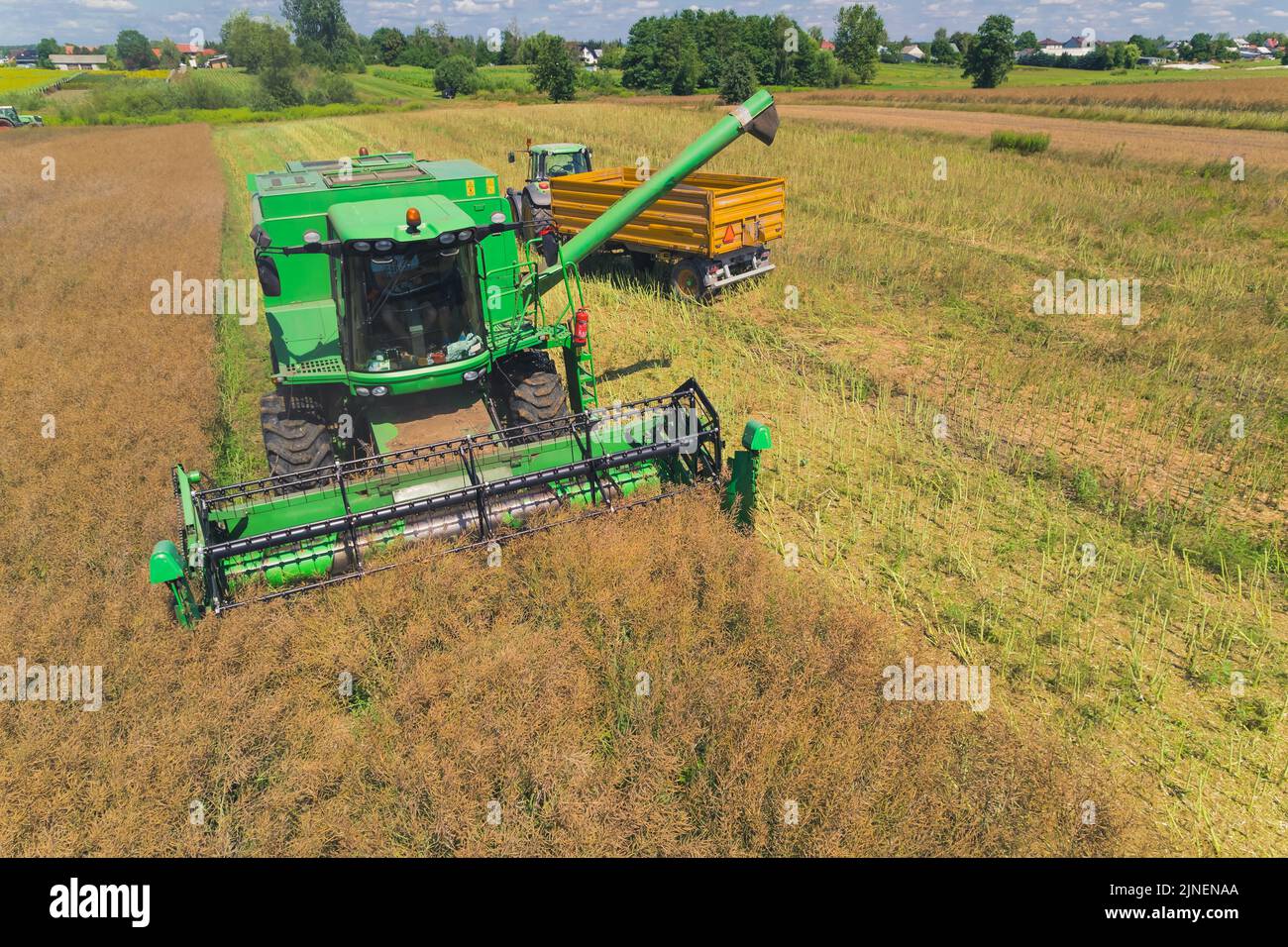 Vue aérienne d'une moissonneuse-batteuse agricole verte avec rabatteur rotatif pour la récolte dans un grand champ de céréales et le déchargement du grain dans un camion. Vue d'été depuis un drone volant. Photo de haute qualité Banque D'Images