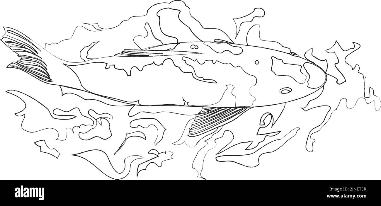 Illustration de la natation de carpe: Ligne seulement, pas de couleur Illustration de Vecteur