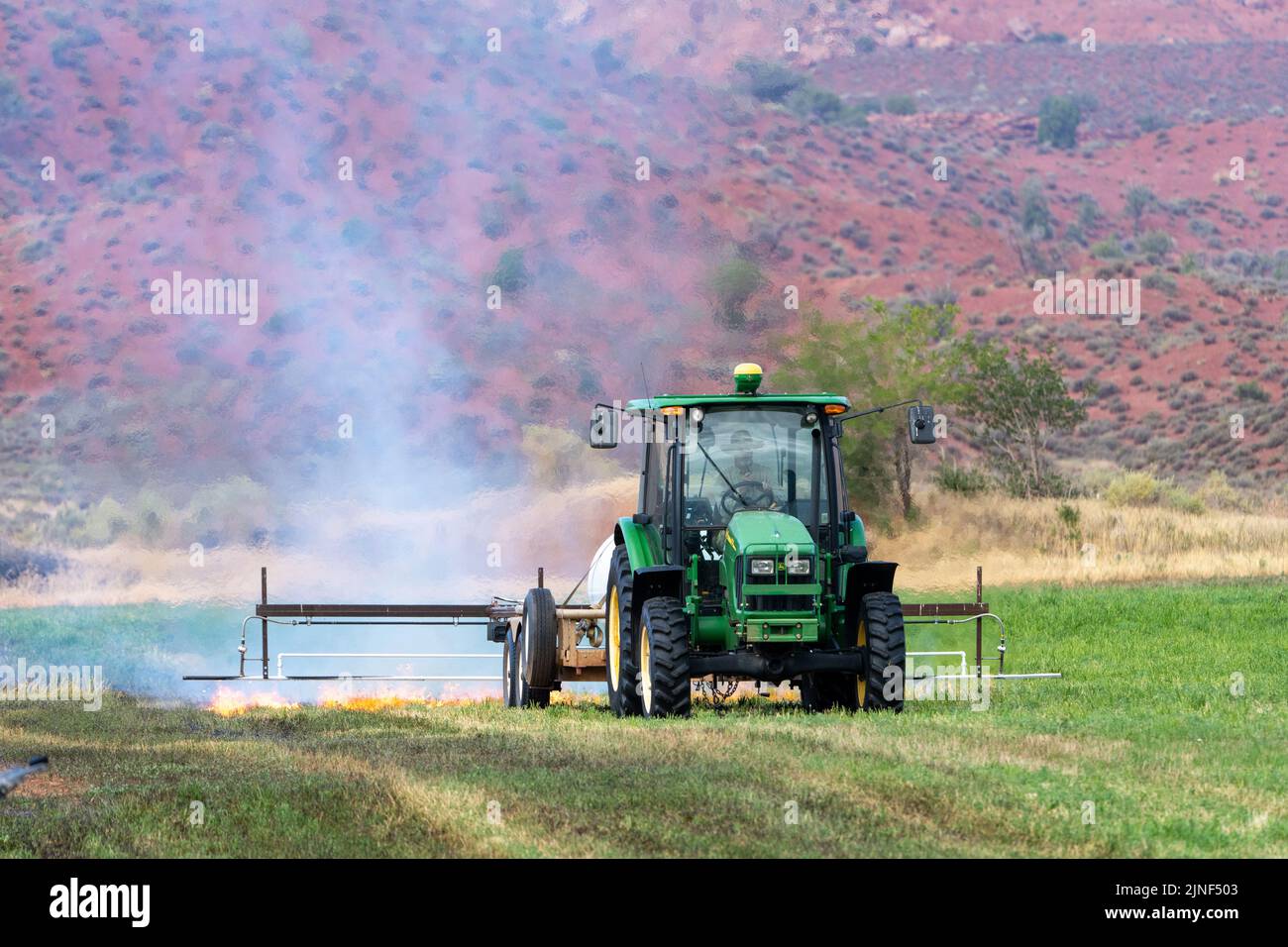 Un tracteur tirant un brûleur de propane brûle les mauvaises herbes dans un champ de foin après avoir coupé la luzerne dans un ranch de l'Utah. Banque D'Images