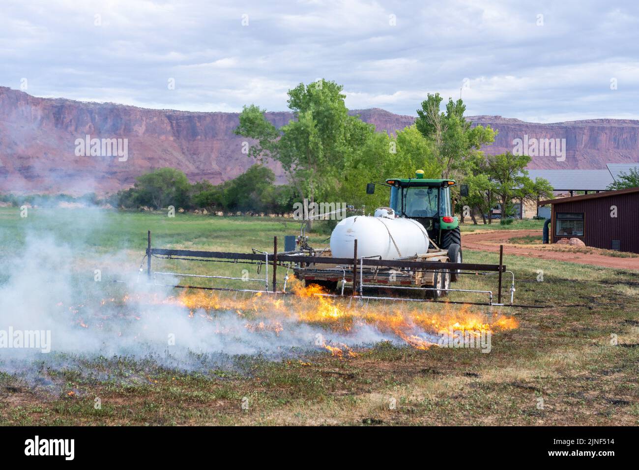 Un tracteur tirant un brûleur de propane brûle les mauvaises herbes dans un champ de foin après avoir coupé la luzerne dans un ranch de l'Utah. Banque D'Images