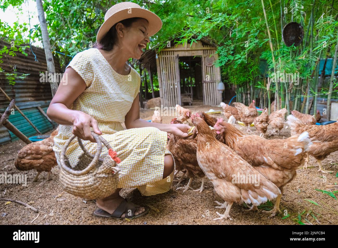 Des femmes asiatiques dans une ferme Eco Homestay nourrissant du poulet dans une ferme en Thaïlande. Femme asiatique avec chapeau dans une ferme familiale en Thaïlande nourrissant du poulet Banque D'Images